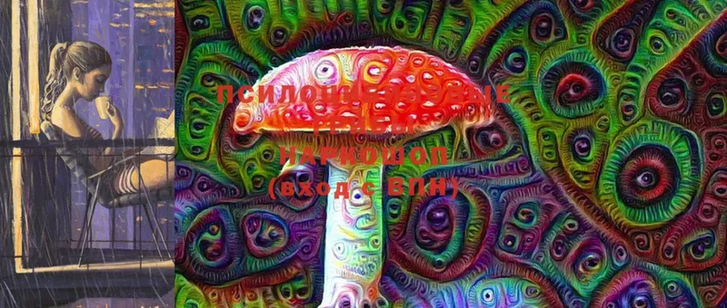 Псилоцибиновые грибы MAGIC MUSHROOMS  Великие Луки 